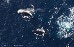 Buckelwale im Indischen Ozean