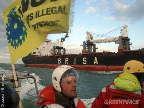 Stoppt die Einfuhr von illegalem Holz nach Europa! (Update)