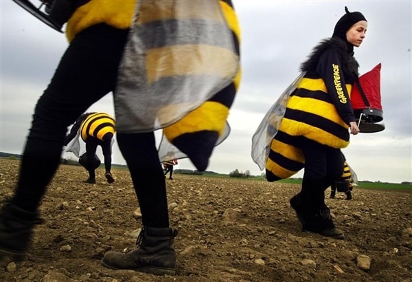 La Commission européenne recommande l’interdiction d’insecticides nuisibles pour les abeilles