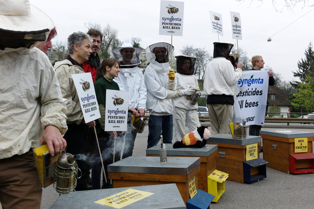 Bienensterben: Wie lange ignoriert Syngenta die Wissenschaft?