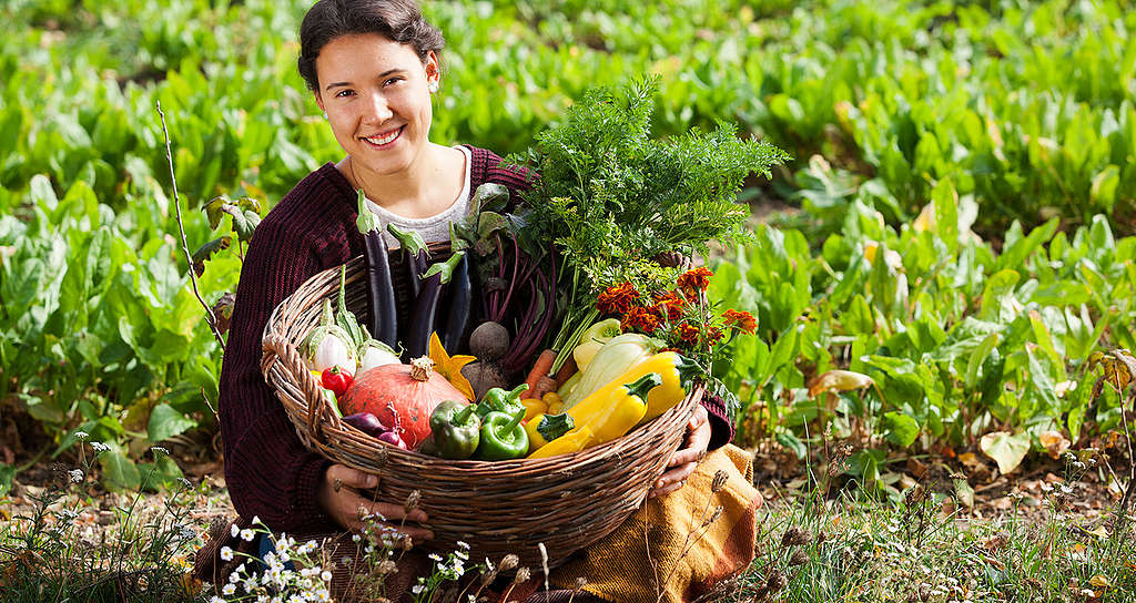 #LessMeatMoreVeg: die Veggie-Woche zum Mitmachen