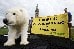 Polarbär Paula vor dem Parlament in Ottawa, Kanada Polarbär Paula vor dem Parlament in Ottawa, Kanada