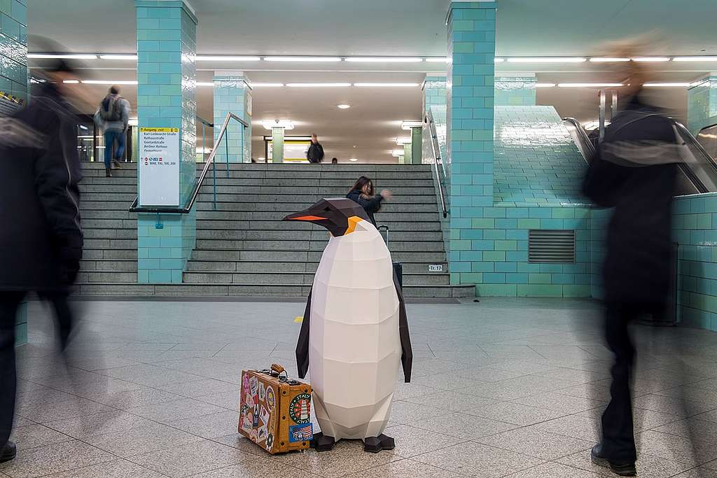 IM WATSCHELGANG UM DIE WELT