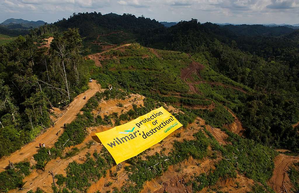 Huile de palme: s’attaquer aux causes plutôt qu’aux symptômes