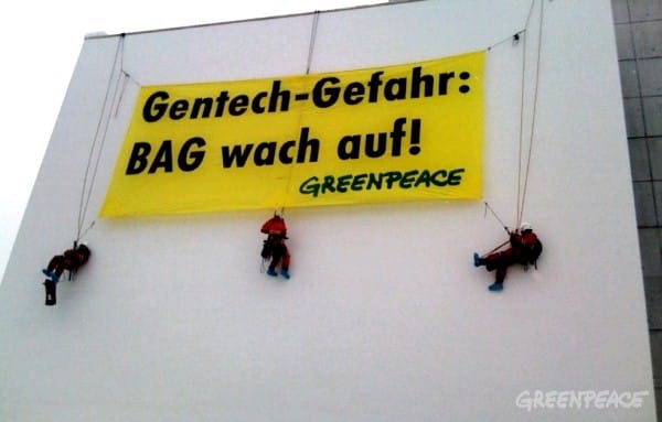 Greenpeace proteste suite à des études alarmantes sur l’alimentation à base d’OGM