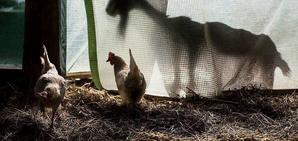 Des noms, pas des numéros