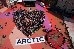 'I Love Arctic' Day of Action in Denmark