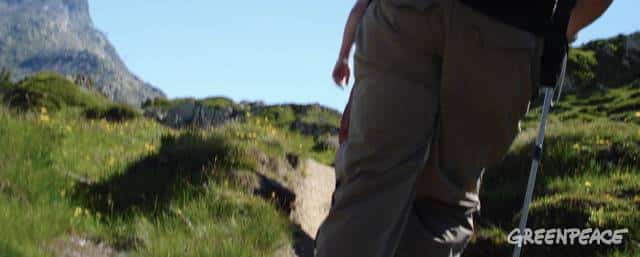 Anstatt Gletscher saftige Alpweiden.