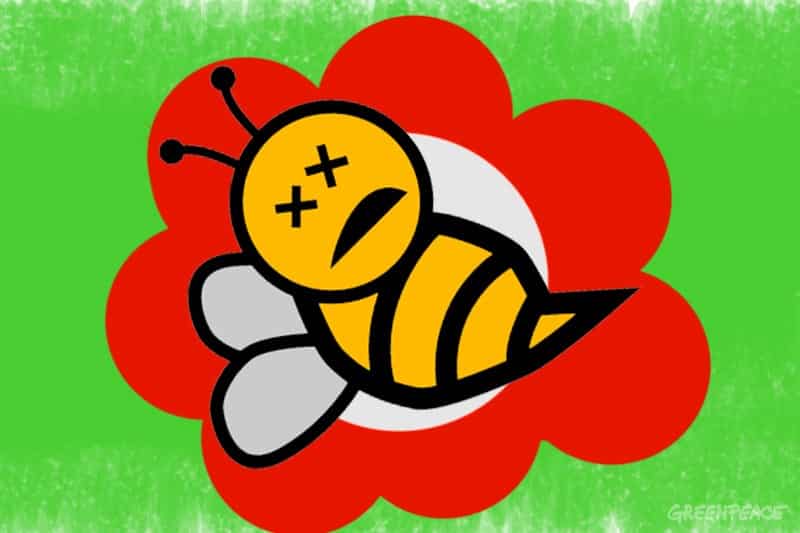 Petition zum Schutz der Schweizer Bienen