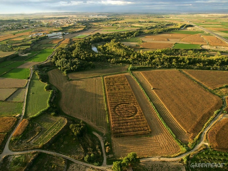 Biosicherheit: Wer zahlt für Schäden durch Gentechnik?