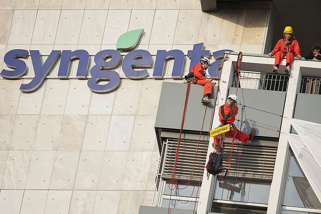 Bienenschützerinnen und Bienenschützer klagen an: «Syngenta Pesticides Kill Bees!»