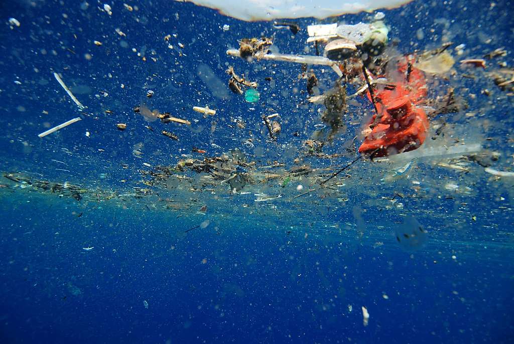 Pollution plastique des océans : évitez d’utiliser des pailles!