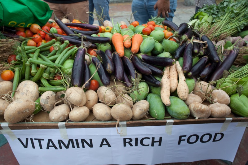 Filming Under Thin Ice Filming Under Thin Ice
