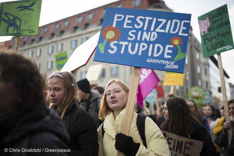 Nationalrat will keine verbindliche Pestizidreduktion: Greenpeace bedauert dies und unterstützt beide Volksinitiativen