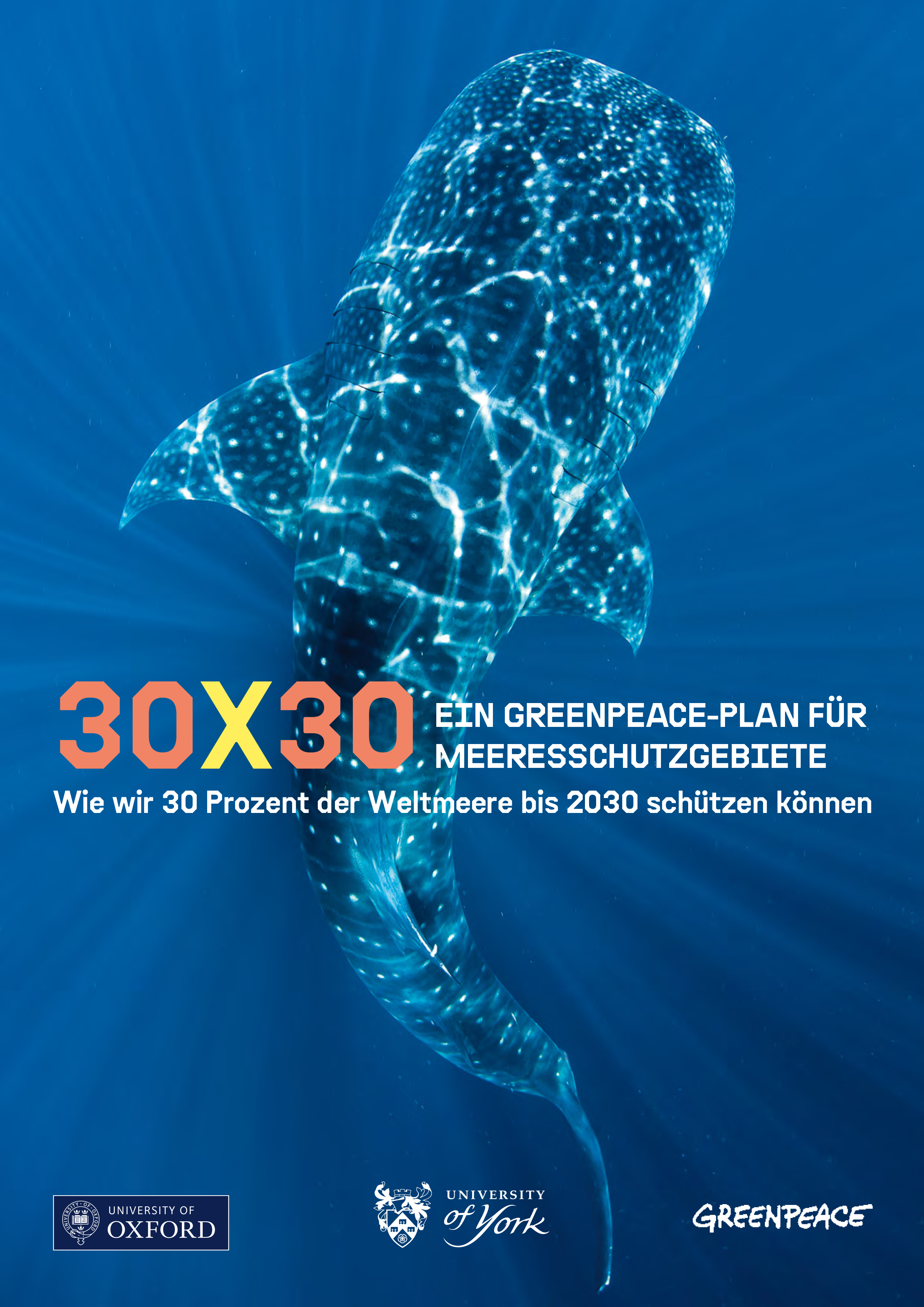 30×30 – Ein Greenpeace-Plan für Meeresschutzgebiete | Greenpeace