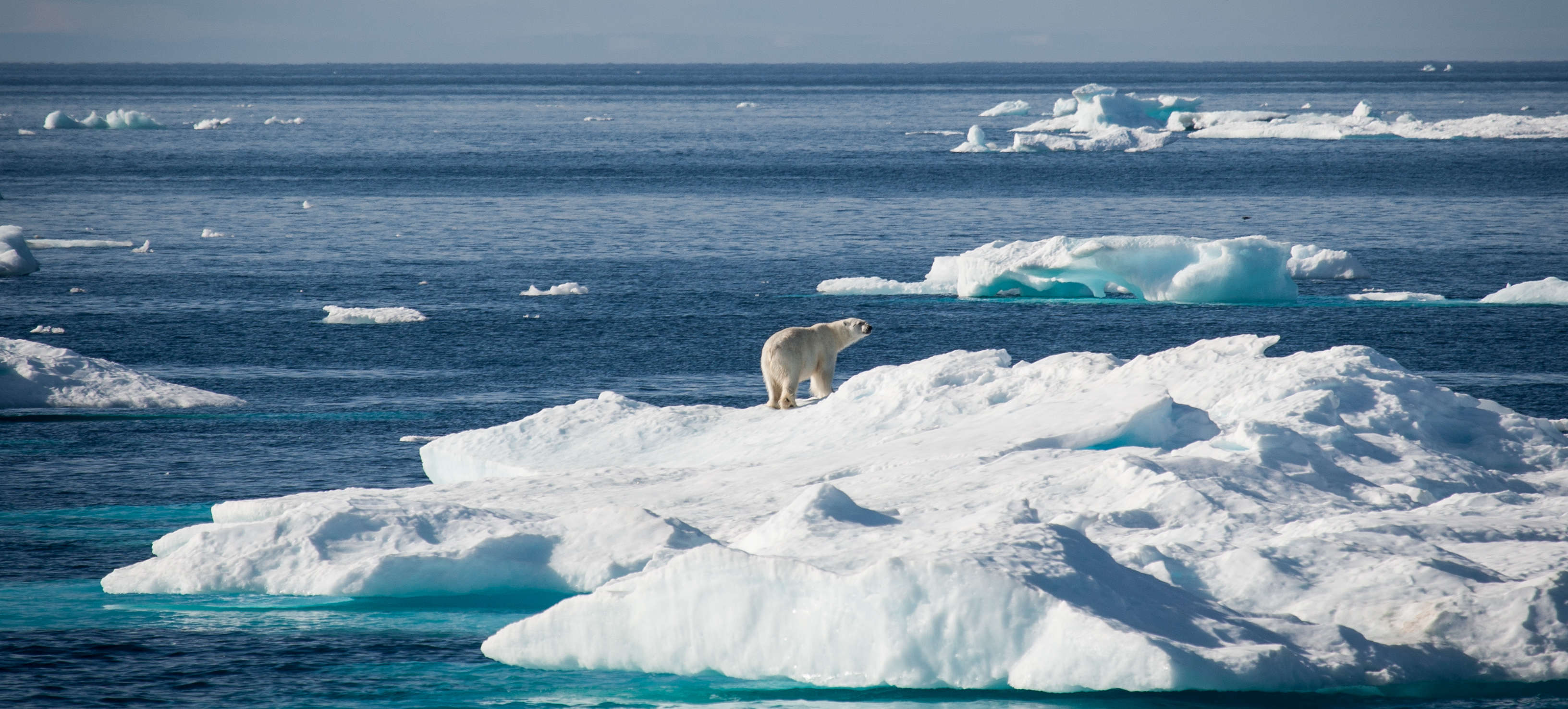 arctique photos