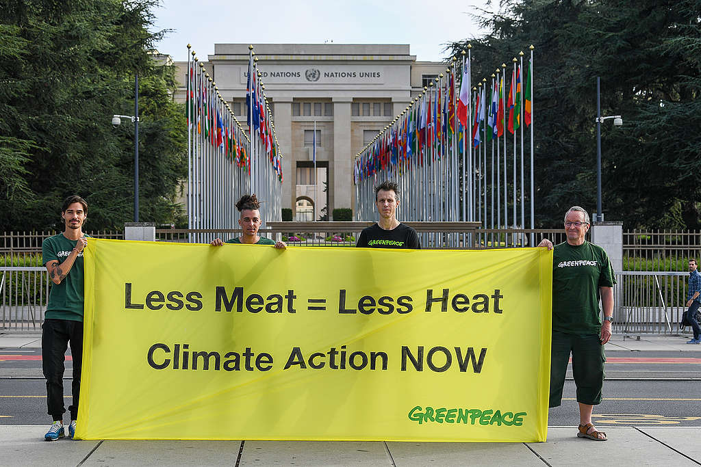 Greenpeace sieht Sonderbericht des Weltklimarats als dringenden Aufruf zur Agrarwende