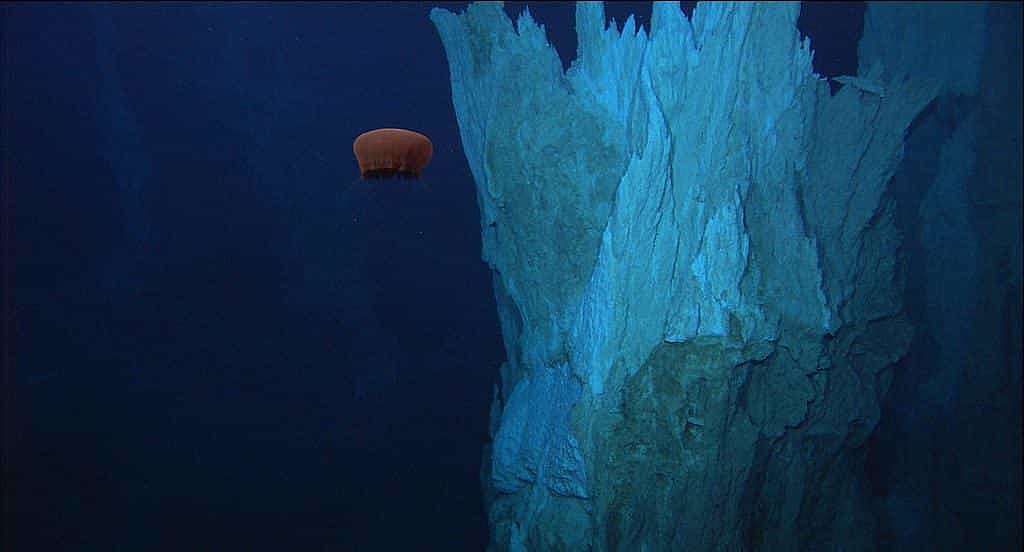 Pourquoi nous devons protéger des endroits comme Lost City