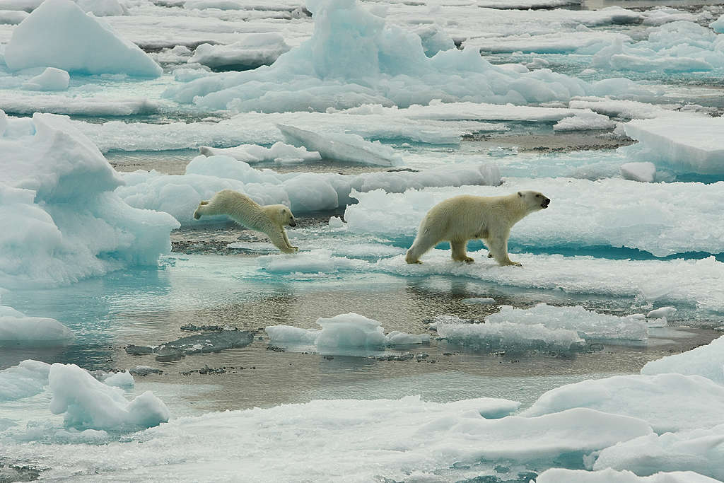 Rapport du GIEC sur les océans et la cryopshère : protéger les océans c&rsquo;est protéger le climat