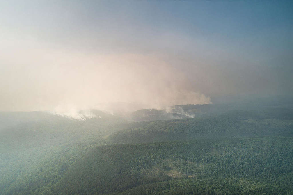 Massive Waldbrände in Sibirien sind eine Klimakatastrophe