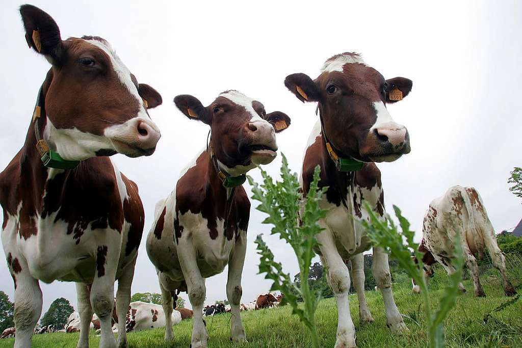 Une vision : une agriculture et une alimentation saine en Suisse