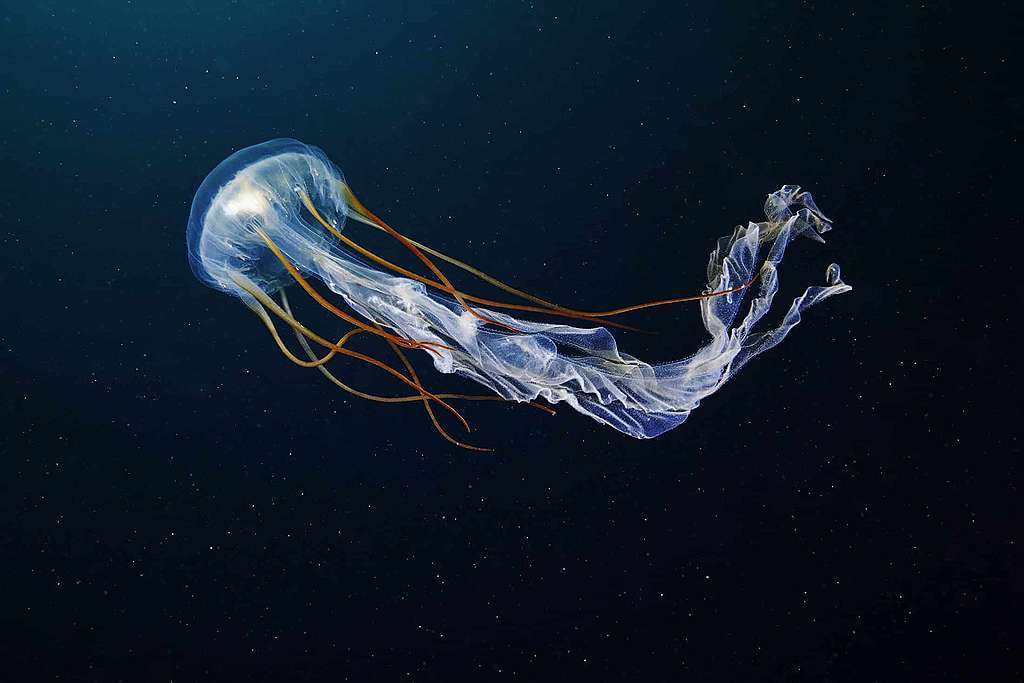 Les océans à l’origine de la vie sur Terre ?