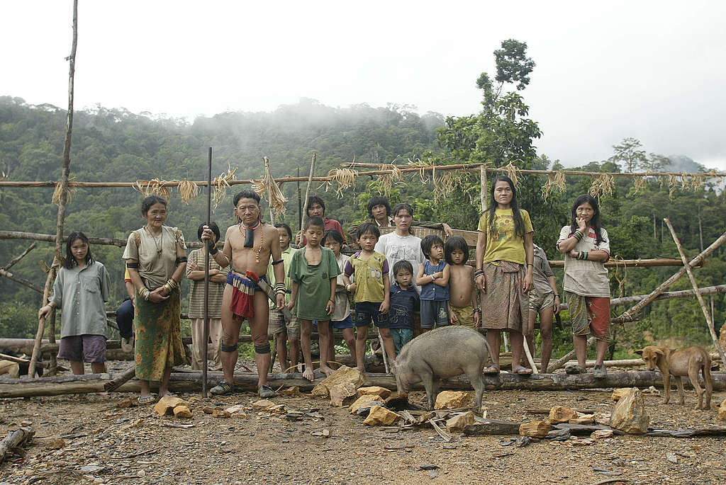 «Bruno Manser war wie eine leuchtende Sonne»