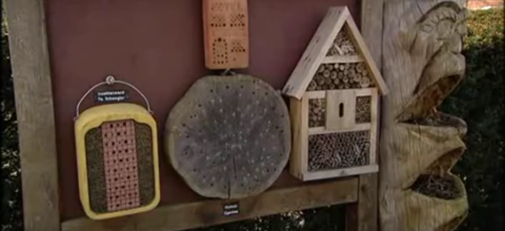 Bienenhotel selber bauen und Standort ausrichten