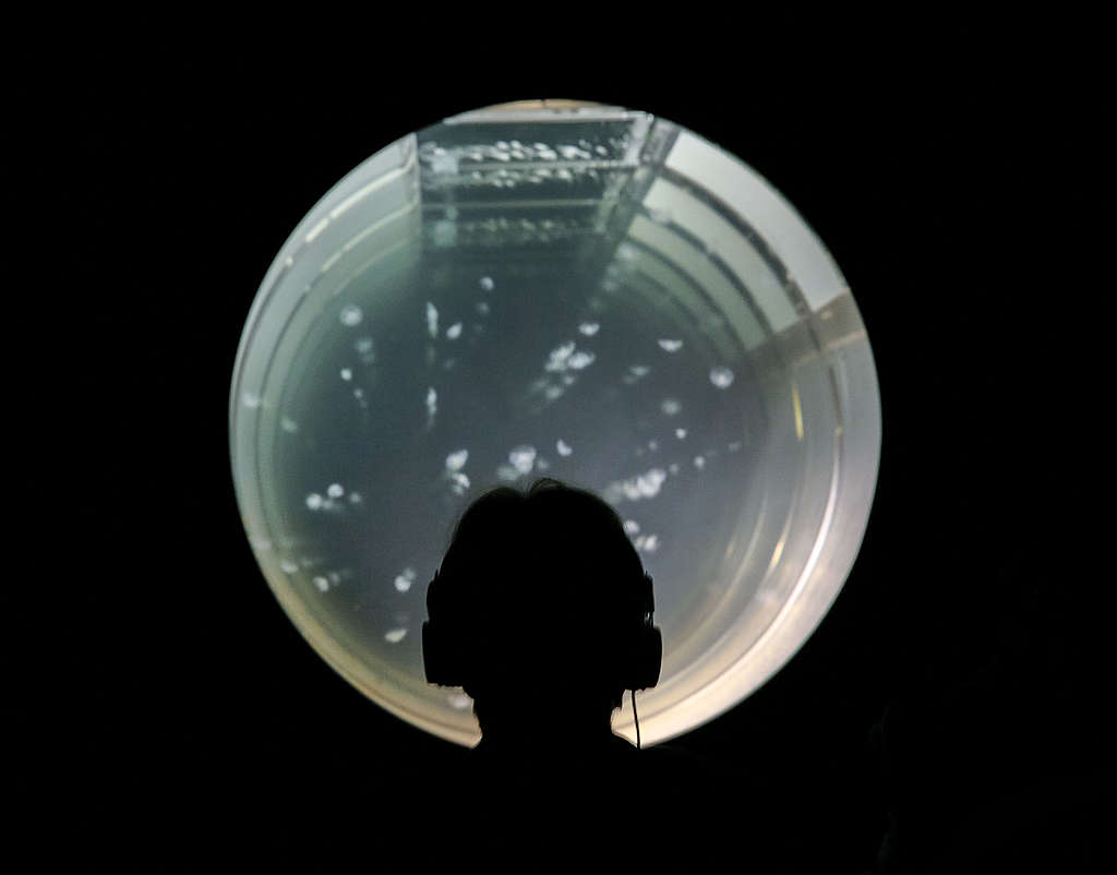 Künstlerporträts (2/3): Rimini Protokoll