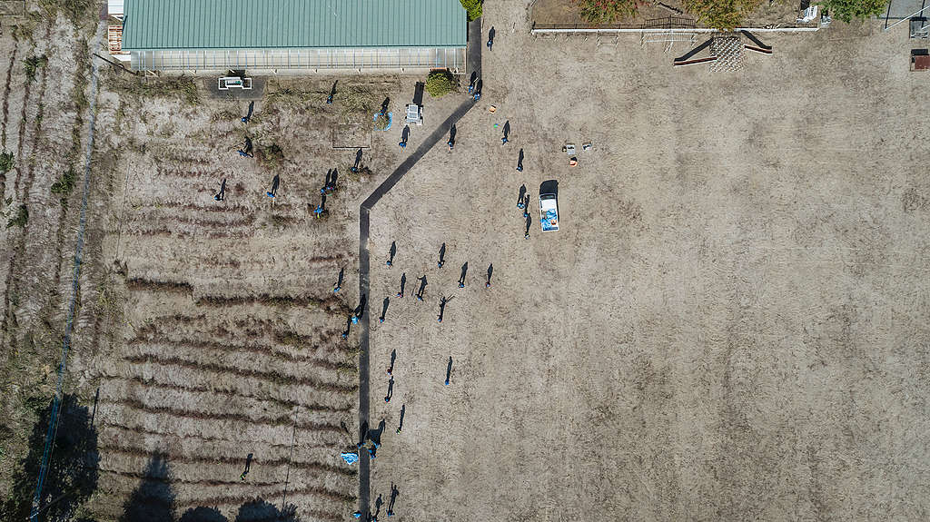 Die umstrittene Rückkehr nach Fukushima