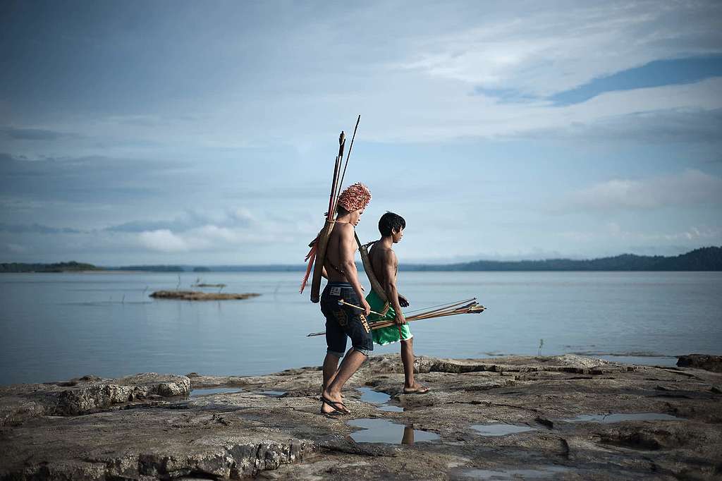 Amazonas: Nach der Abholzung nun die Staudämme