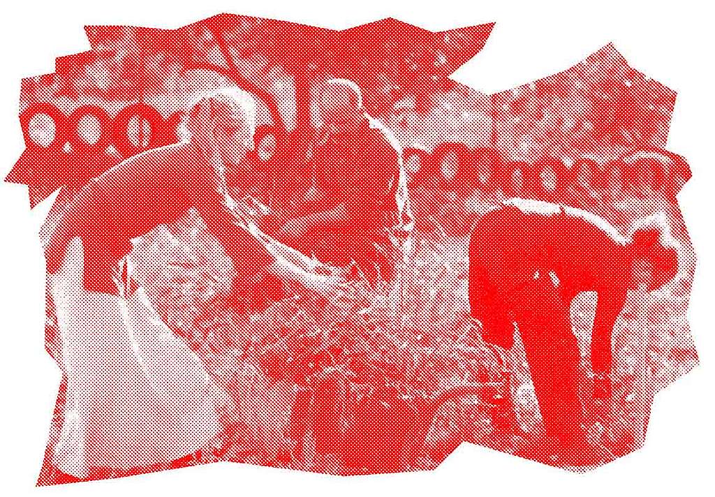 Widerstand mit Köpfchen statt Gewalt