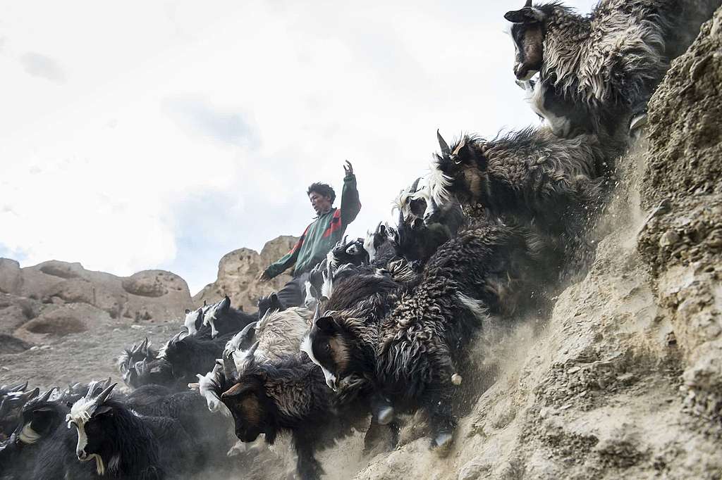 Der Himmel über Mustang