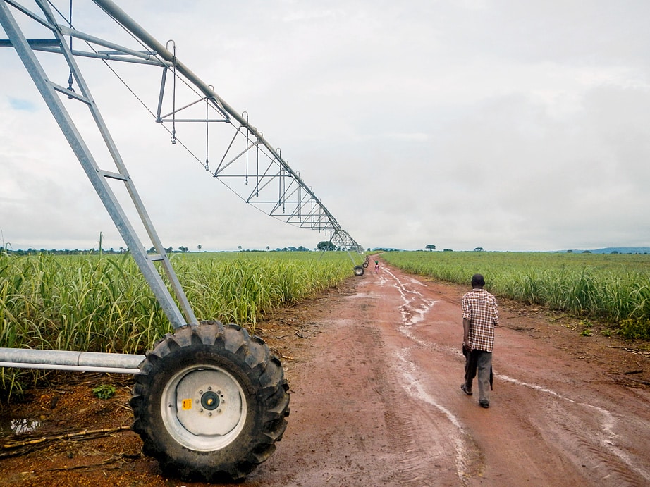 Die Zuckerrohrplantagen brauchen riesige Bewässerungsanlagen. © Fabian Käser