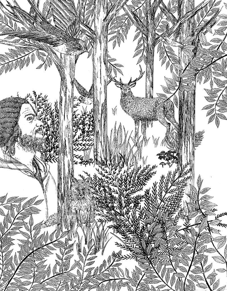 In die Wildnis – zu sich selbst