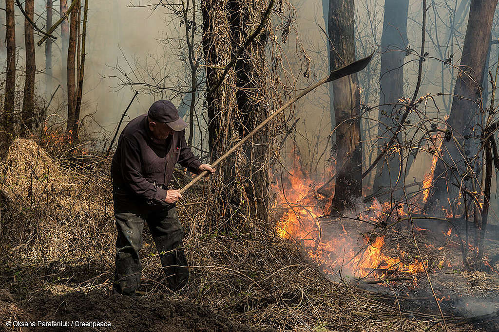 Sécheresse et radioactivité : mélange toxique à Tchernobyl