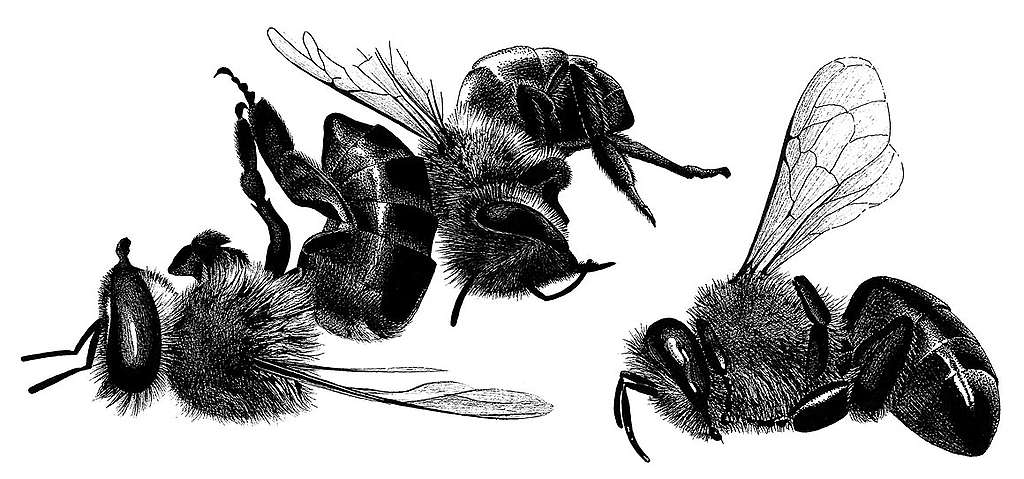 Zum Auftakt ein Supergau