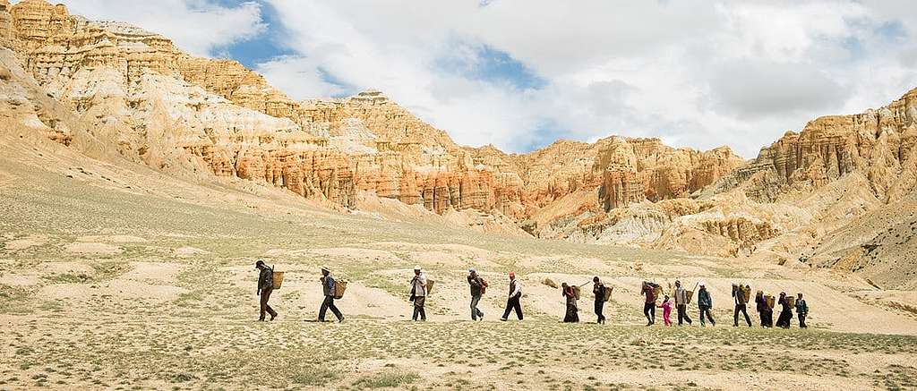 Die Gewinner des Greenpeace Photo Award 2014