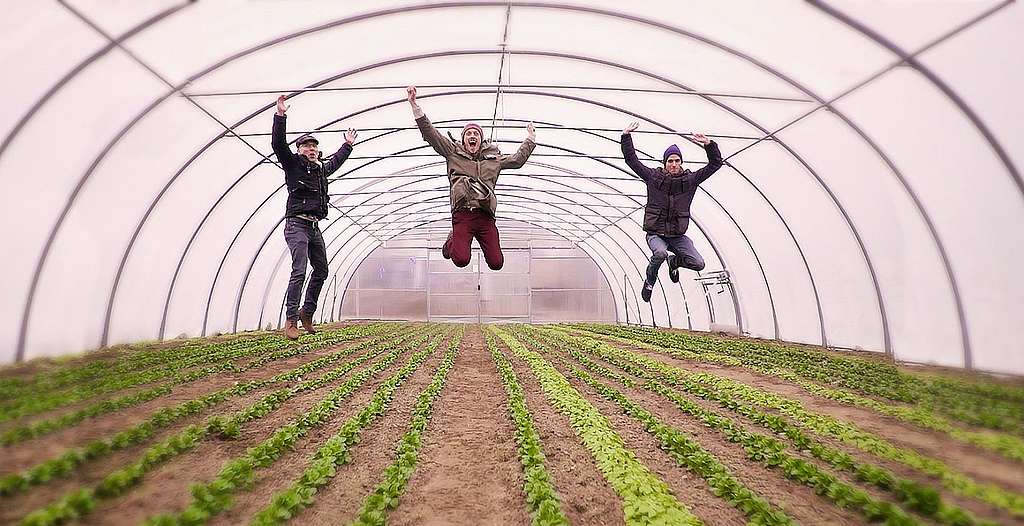 Walk the Talk! (Serie: 1/5)