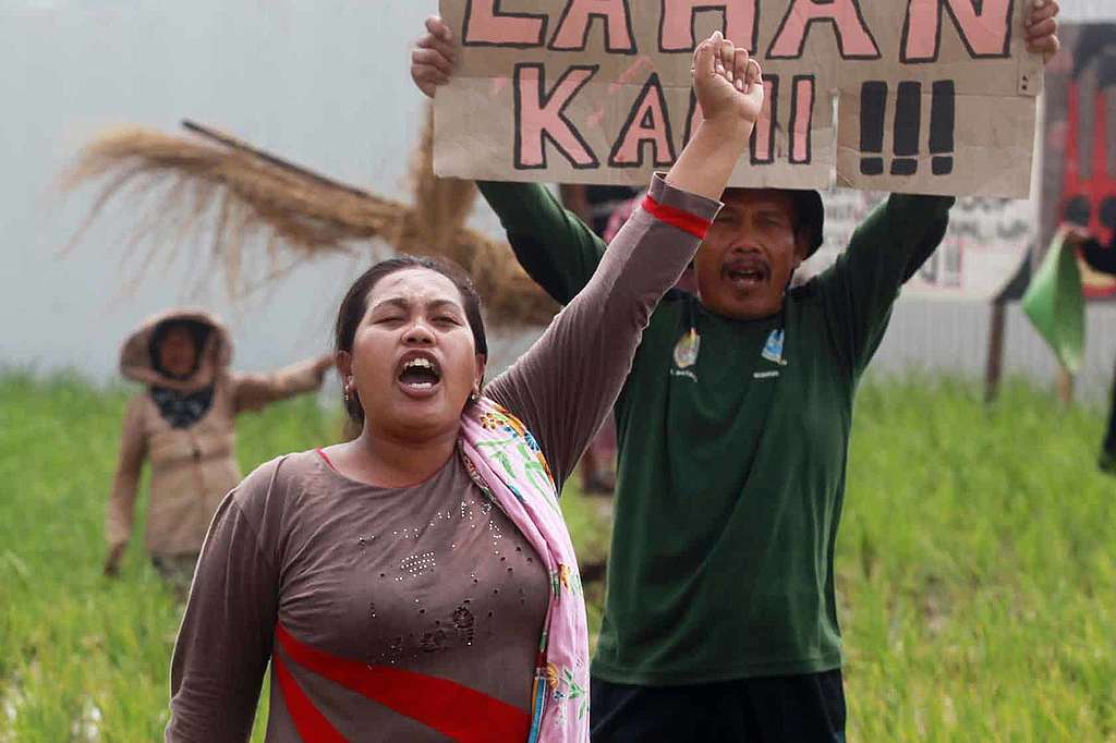 Greenpeace in Bildern