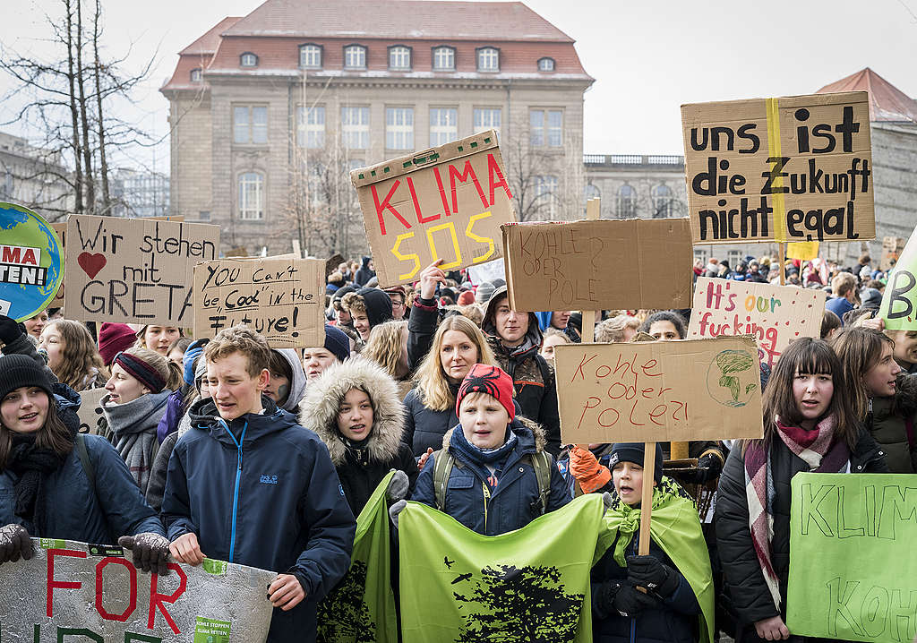 «Es gibt einfach keinen Grund, wieso man nicht wählen gehen sollte» Greenpeace Schweiz