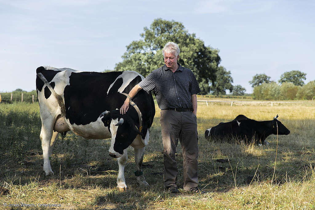 One Health: Tierwohl und Menschenwohl sind eins