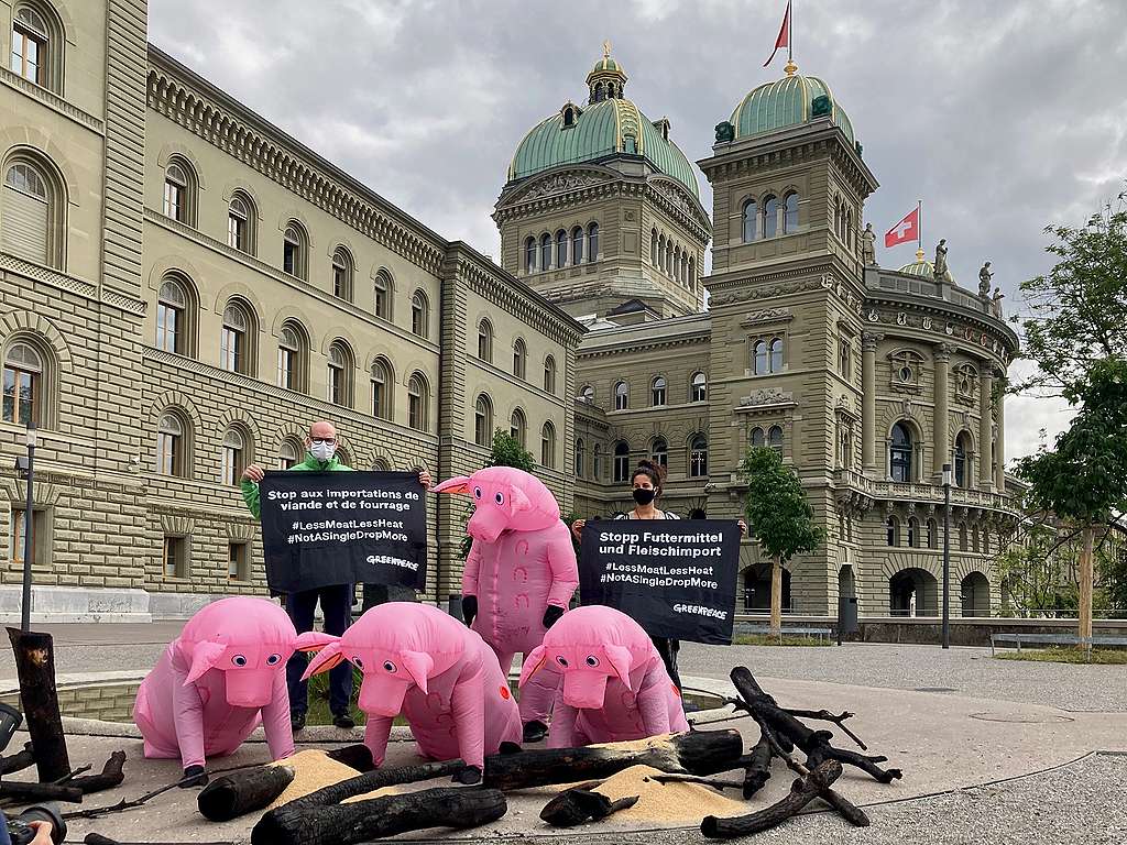 33’287 personnes pour une Suisse libre d’importations de fourrage et de viande