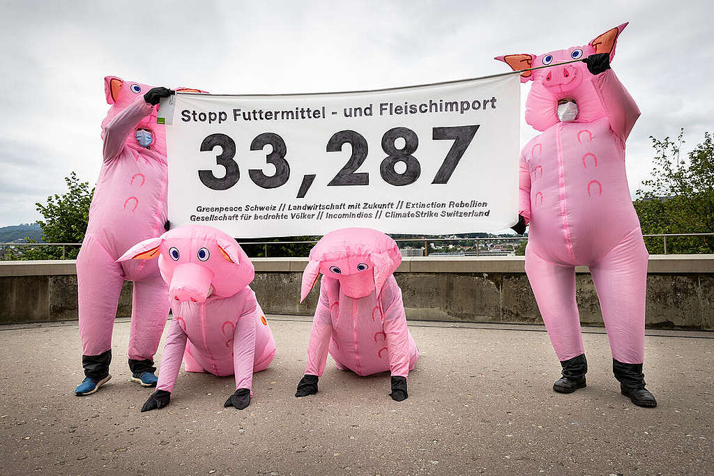 De la déforestation au menu