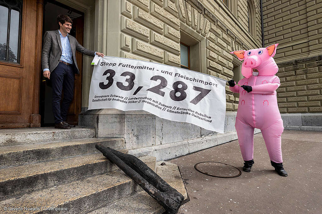 Fleisch hin, Wald her