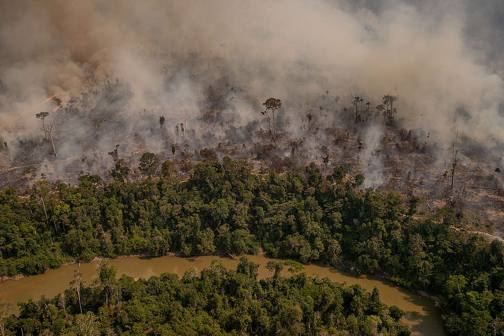 «Ohne uns Indigene gäbe es keinen Amazonas-Regenwald mehr»