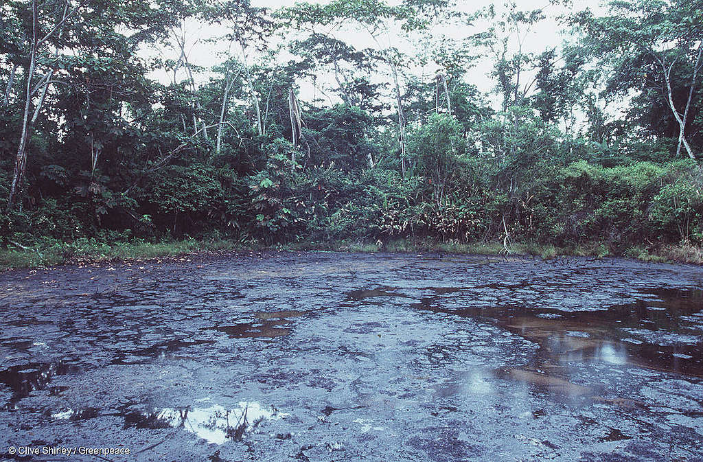 Les banques suisses financent le pétrole controversé d&rsquo;Amazonie
