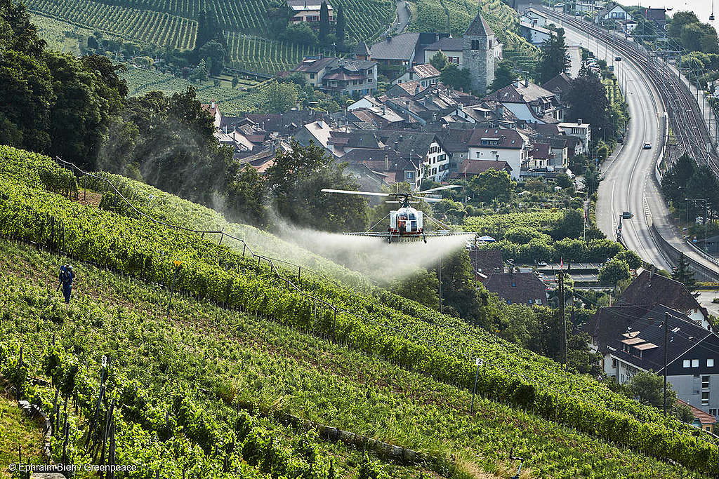 Nouvelle étude de Greenpeace: Les pesticides se répandent sur des kilomètres