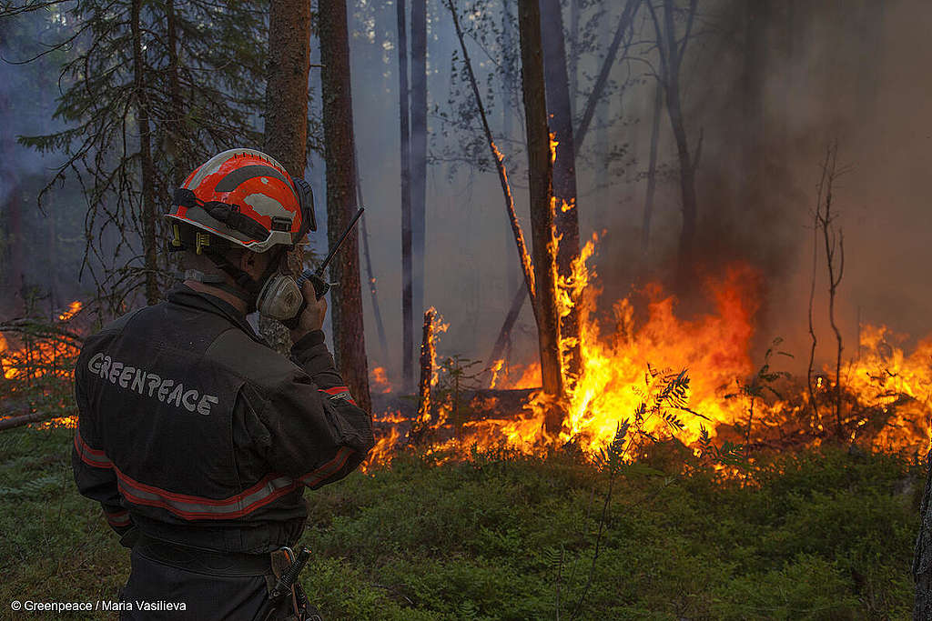 Die Welt brennt. Unsere Herzen auch!