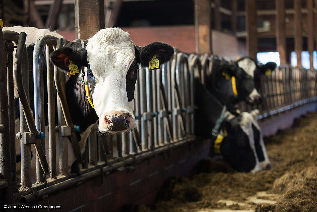 Blocus: le lobby agricole s’impose à nouveau